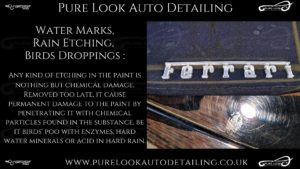 car paint defects description of water marks rain etching birds dropping